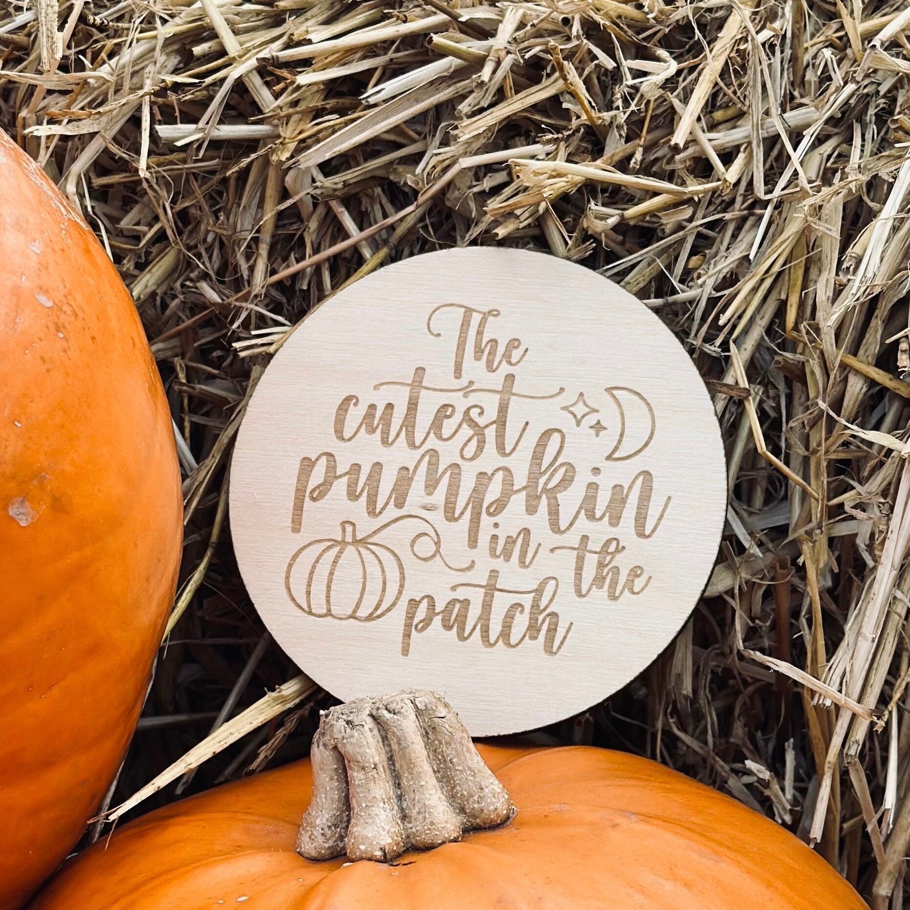 Cutest Pumpkin in the Patch Halloween Plaque alternate view